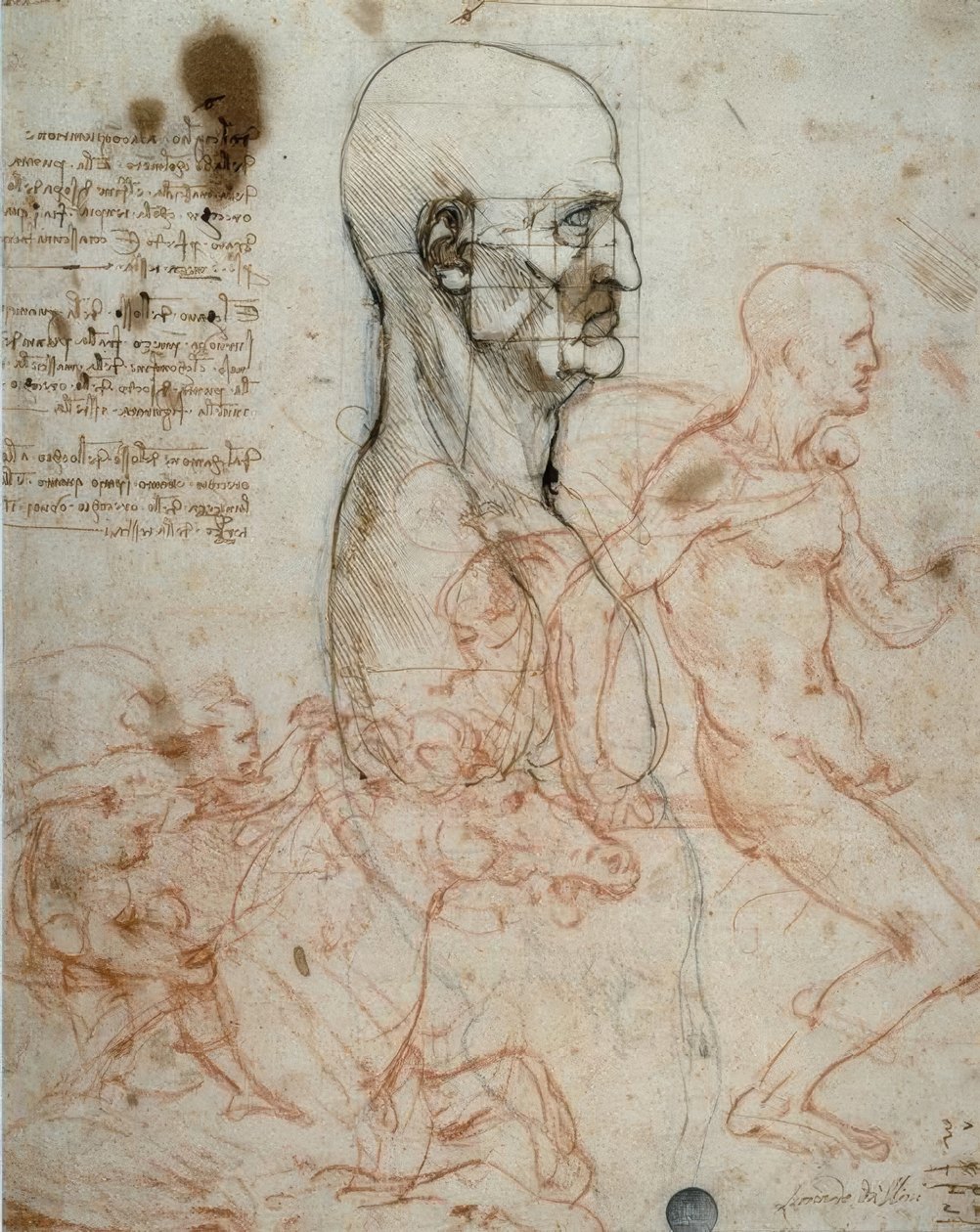 Az emberi fej és a lovas tanulmányok aránysémája alkotó: Leonardo da Vinci
