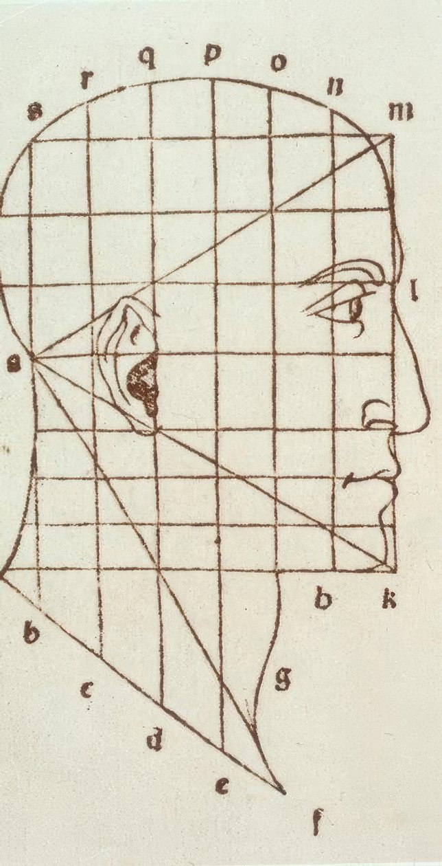 Az emberi fej arányvizsgálata alkotó: Leonardo da Vinci