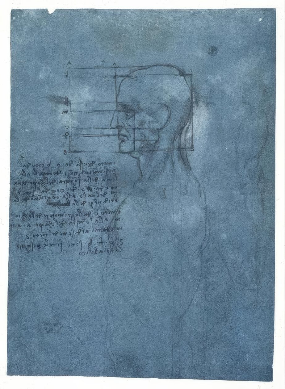Egy férfi fej arányvizsgálata profilban alkotó: Leonardo da Vinci