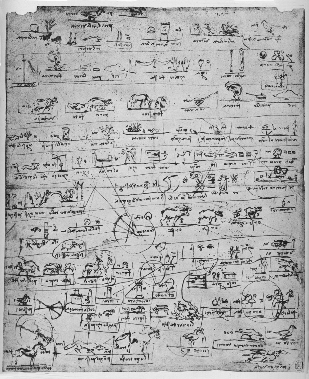 Piktogramok, c1480, 1945 alkotó: Leonardo da Vinci