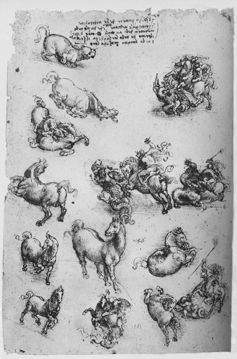 Tanulmányok a lovakról, a macskáról és a Szent Györgyről és a Sárkányról, c1480 1945 alkotó: Leonardo da Vinci