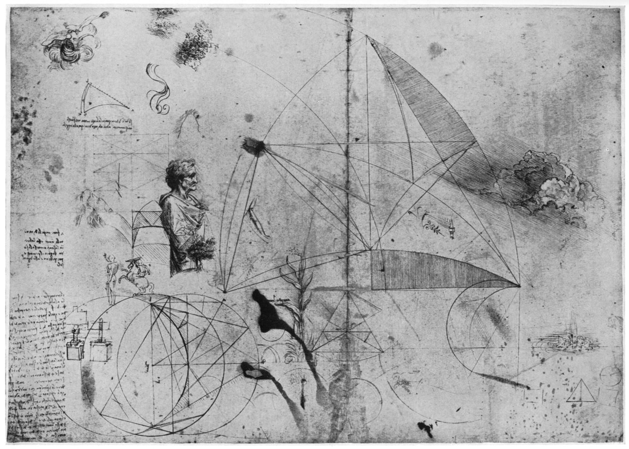Tanulmányi lap, 15. század vége vagy 16. század eleje 1954. alkotó: Leonardo da Vinci