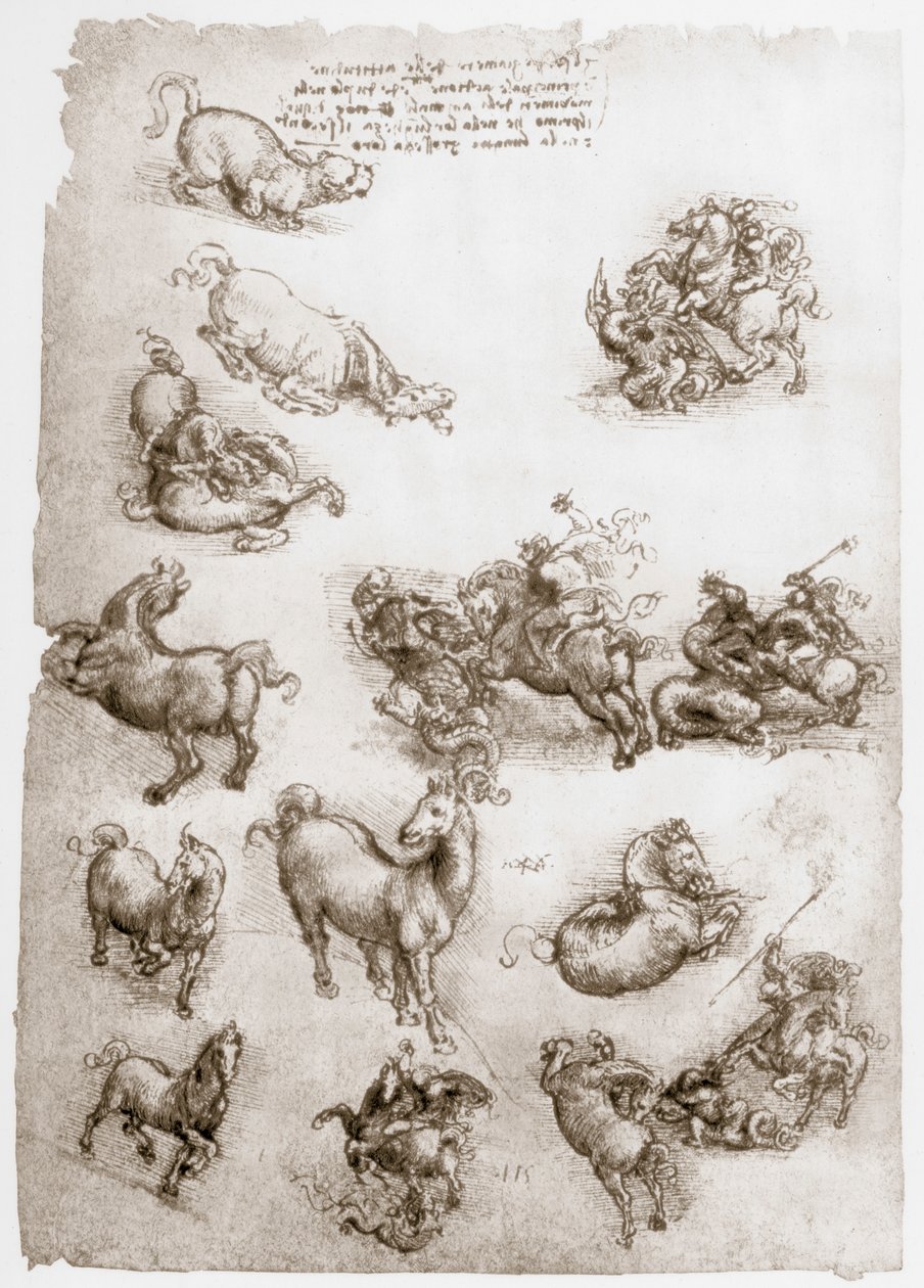 Szent György és a sárkány, c1506 alkotó: Leonardo da Vinci