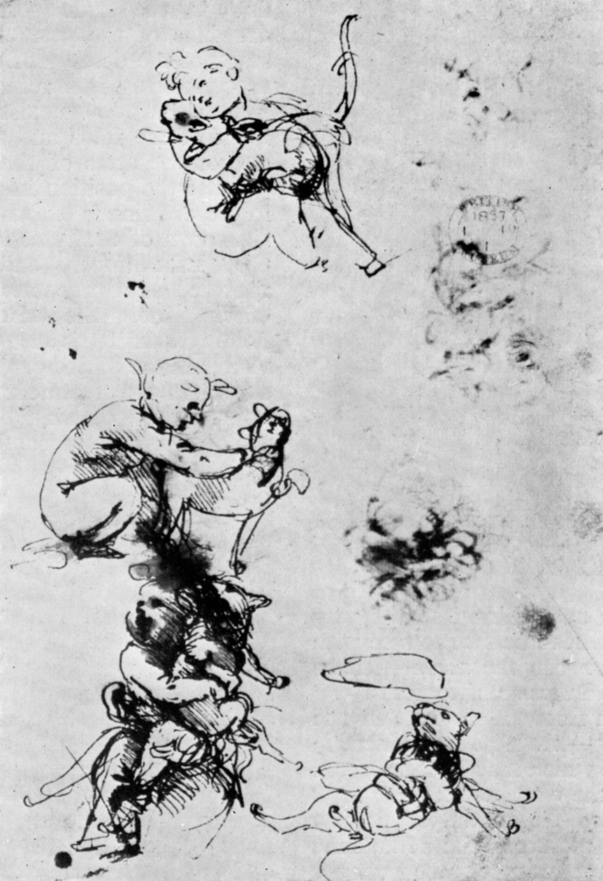 Tanulmányok egy Madonna Del Gatto számára, 15. század, 1930. alkotó: Leonardo da Vinci
