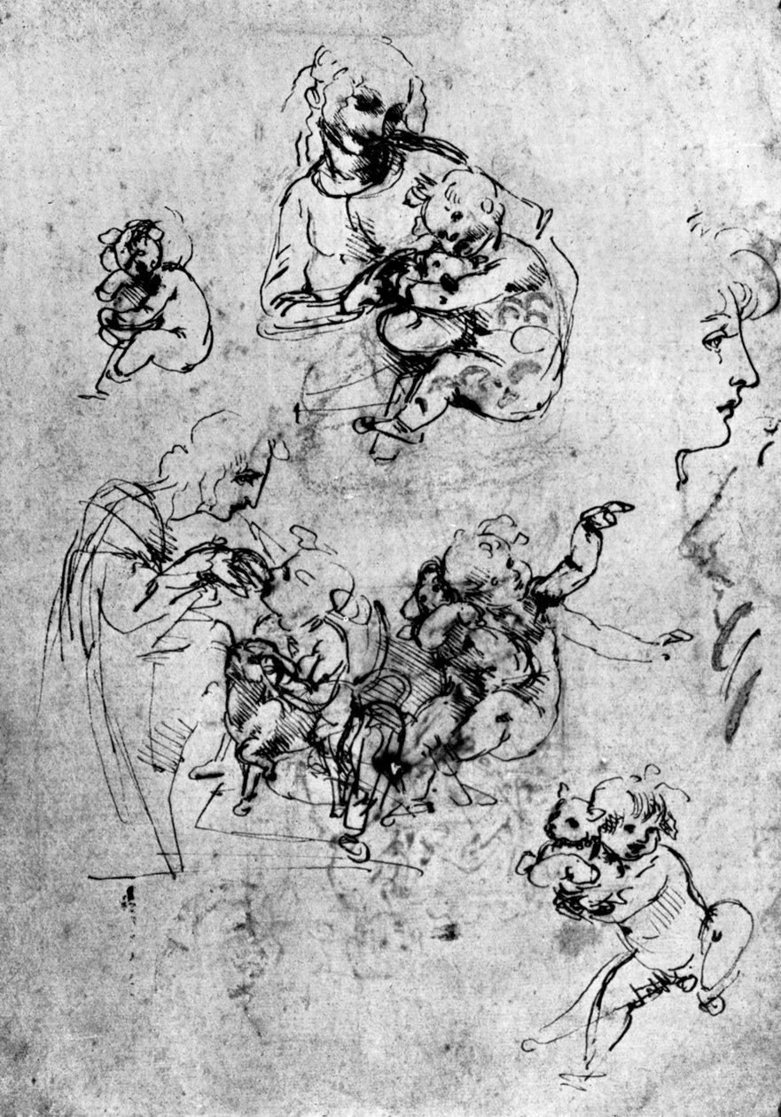 Tanulmányok egy Madonna Del Gatto számára, 15. század, 1930. alkotó: Leonardo da Vinci