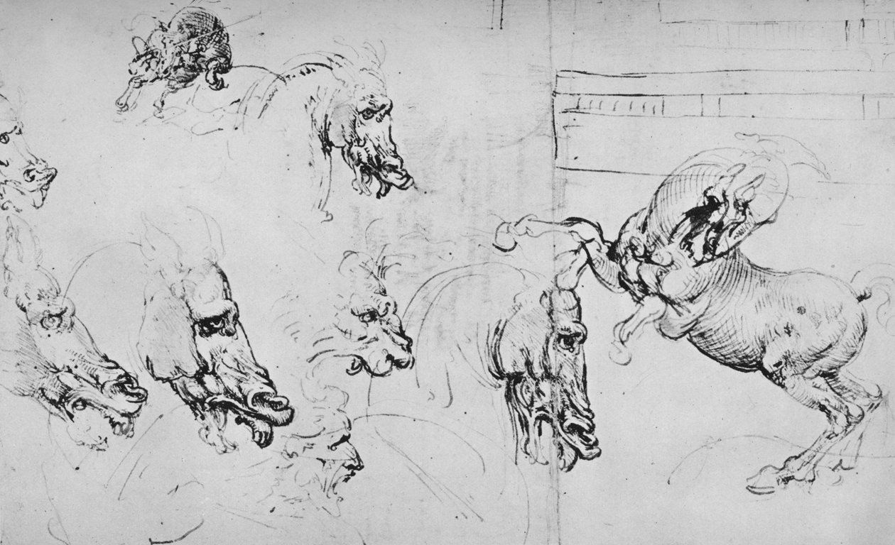Tanulmányok a lovak fejéről és a tenyészlóról, c1480 1945 alkotó: Leonardo da Vinci