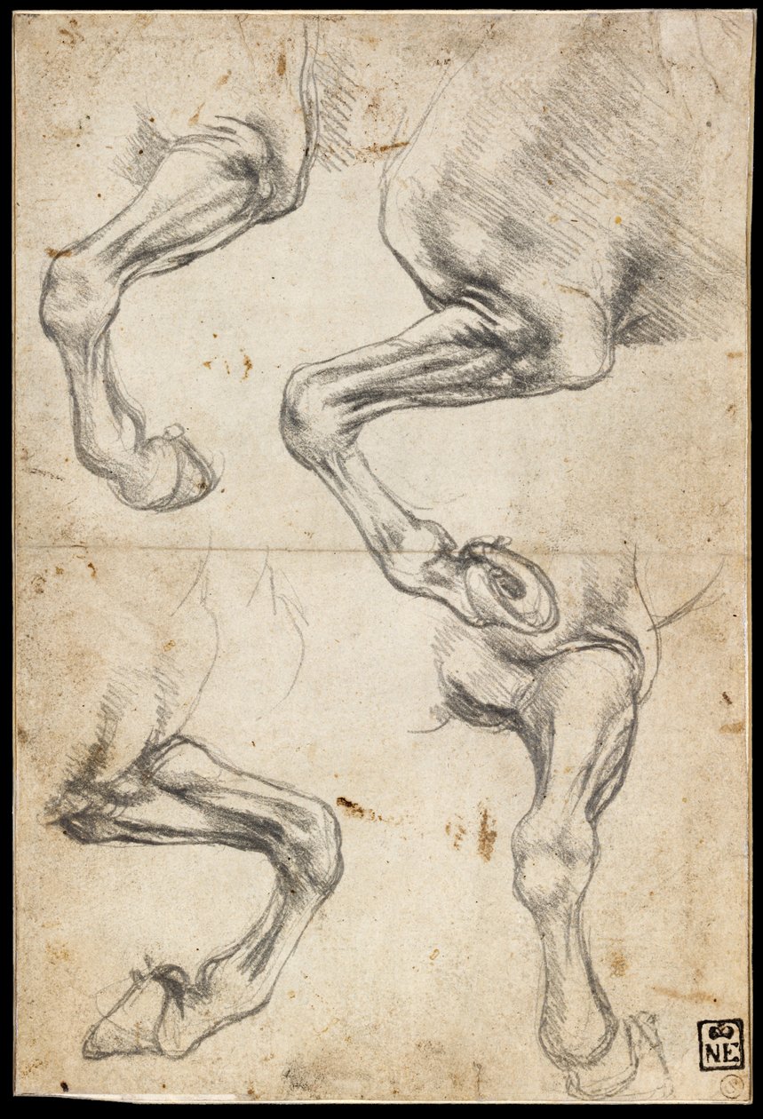 Tanulmányok a ló lábáról alkotó: Leonardo da Vinci