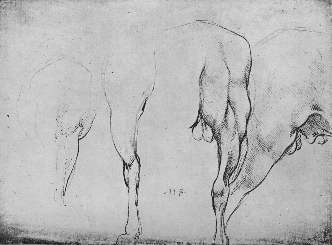 Studies of Horses Legs, c1480, 1945 alkotó: Leonardo da Vinci