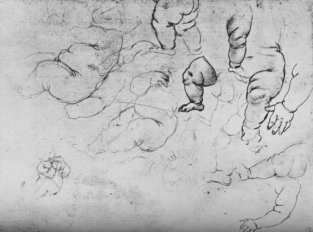 Tanulmányok egy gyermekről, c1490, 1945 alkotó: Leonardo da Vinci