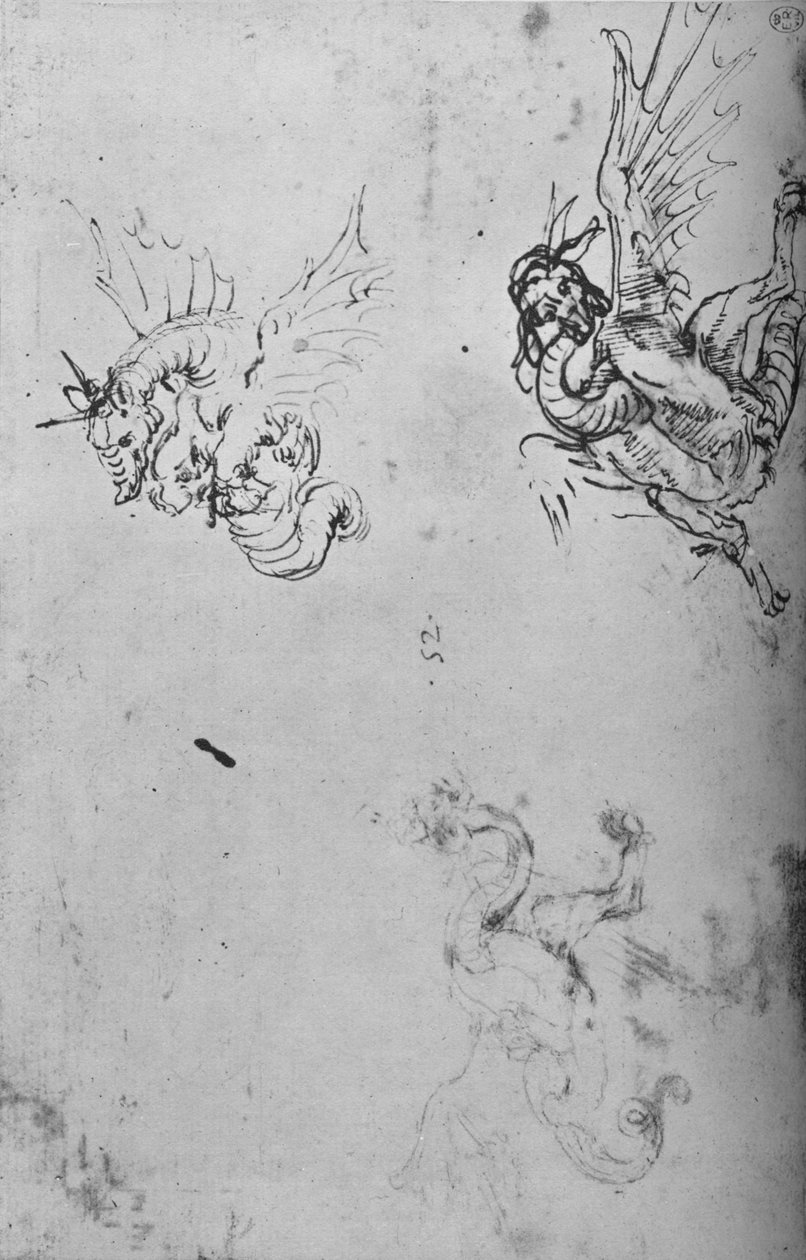 Tanulmányok egy sárkányról, c1480, 1945 alkotó: Leonardo da Vinci