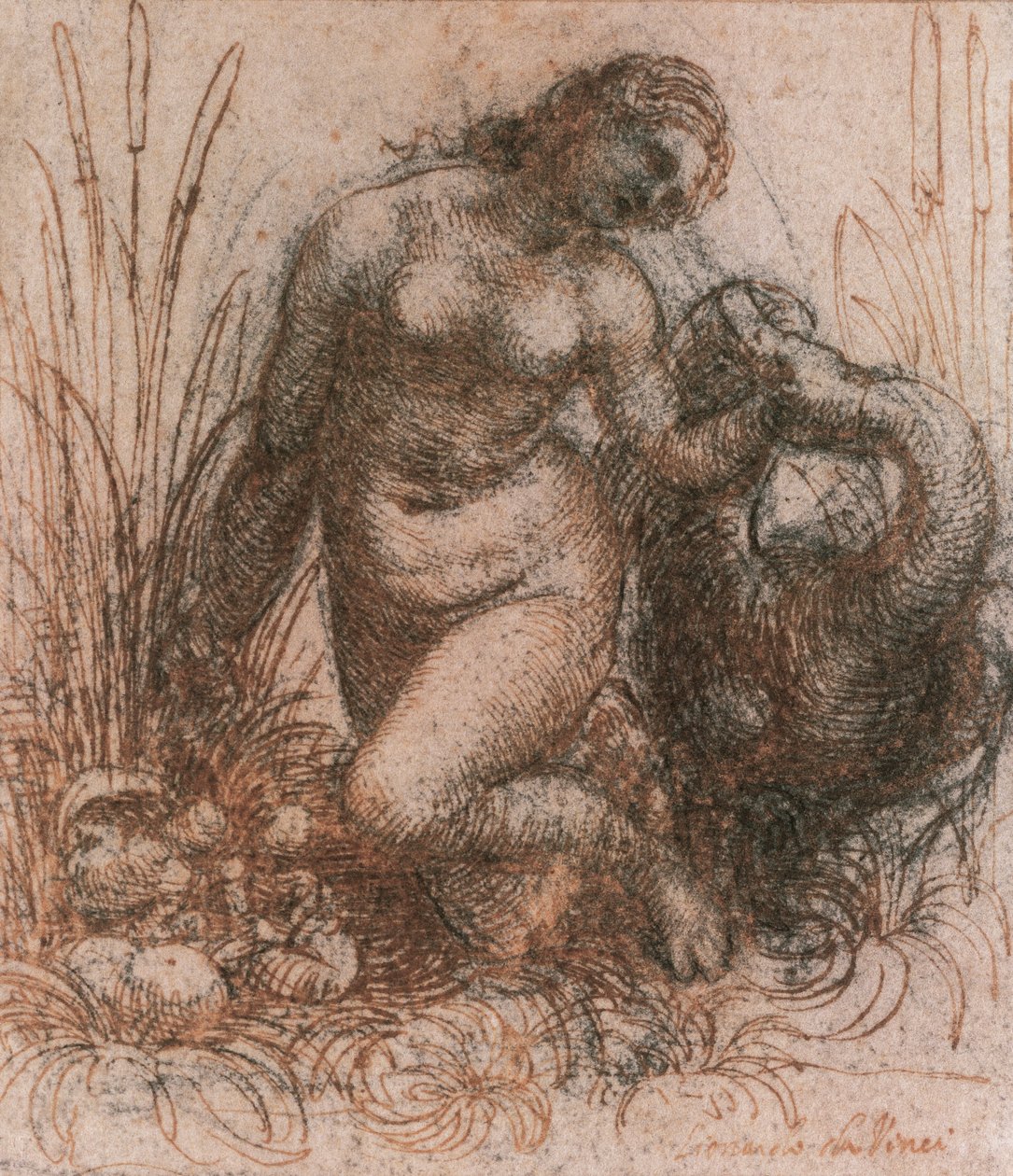 Leonardo da Vinci (1452-1519) tanulmánya Lédához és a hattyúhoz, rajz alkotó: Leonardo da Vinci