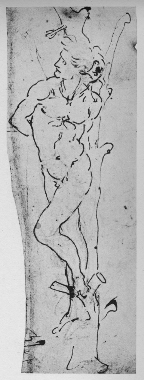 Tanulmány egy Szent Sebestyénnek, c1480 1945 alkotó: Leonardo da Vinci
