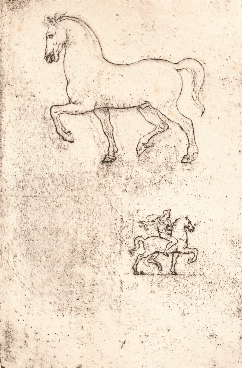 Tanulmány a Sforza-emlékműhöz, c1482-c1499 1883 alkotó: Leonardo da Vinci
