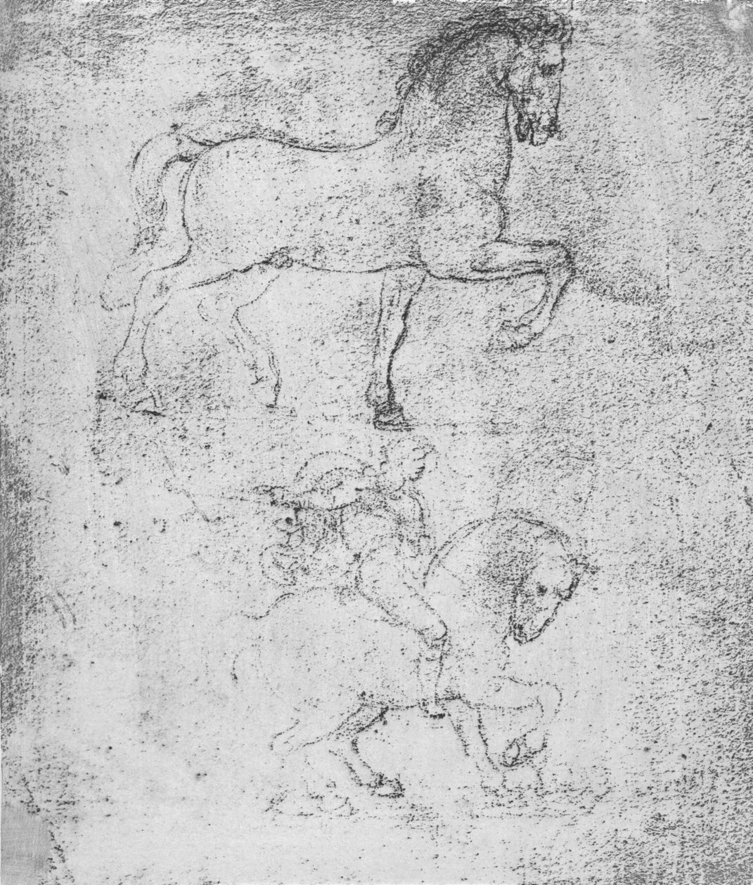 Tanulmány a Sforza-emlékműhöz, c1482-c1499 1883 alkotó: Leonardo da Vinci