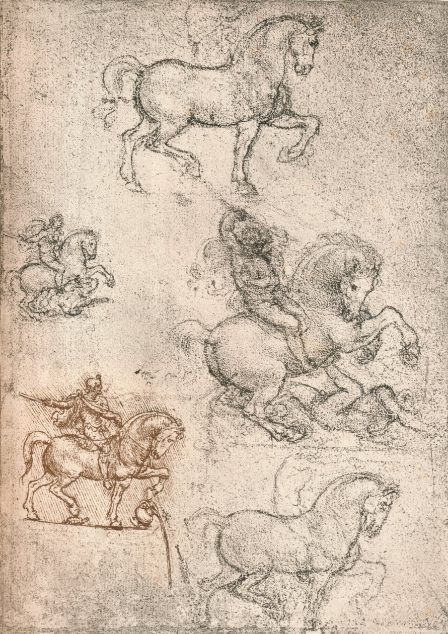 Tanulmány a Sforza-emlékműhöz, c1482-c1499 1883 alkotó: Leonardo da Vinci
