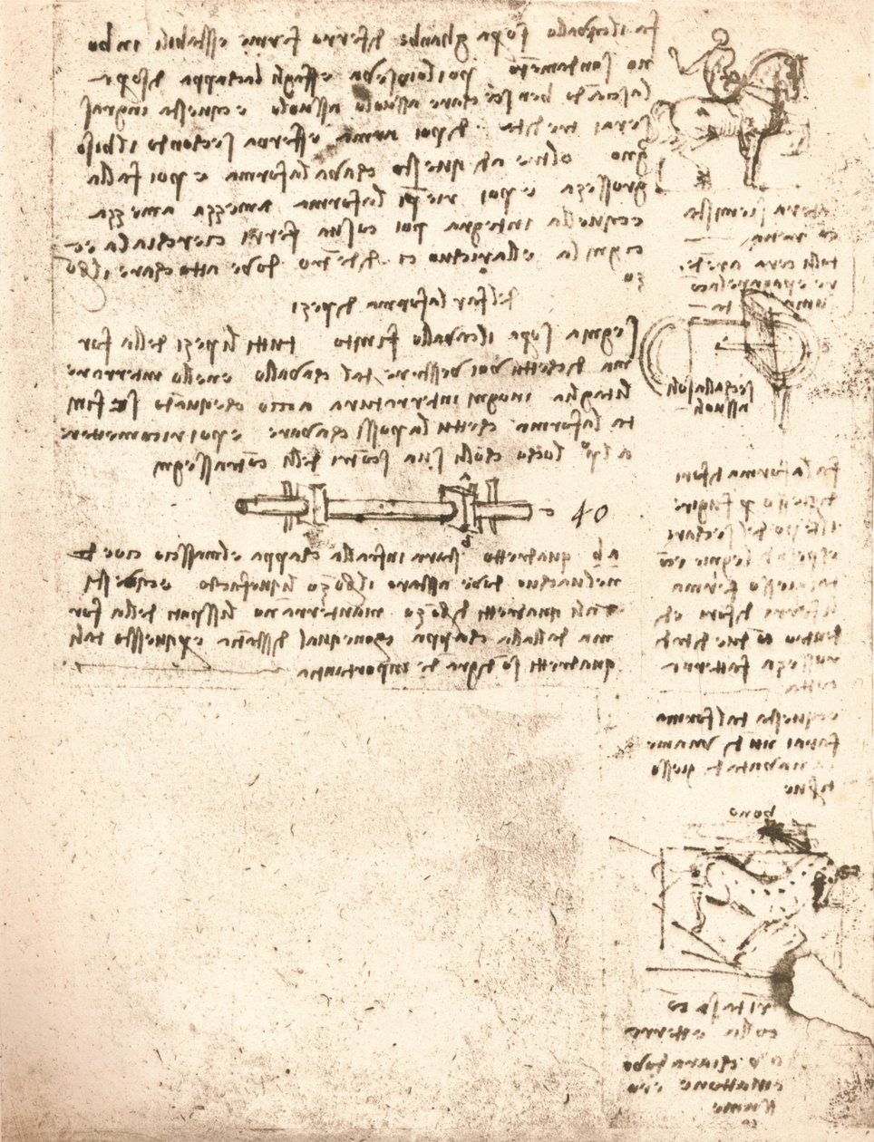 Tanulmány a Sforza-emlékműhöz, c1482-c1499 1883 alkotó: Leonardo da Vinci