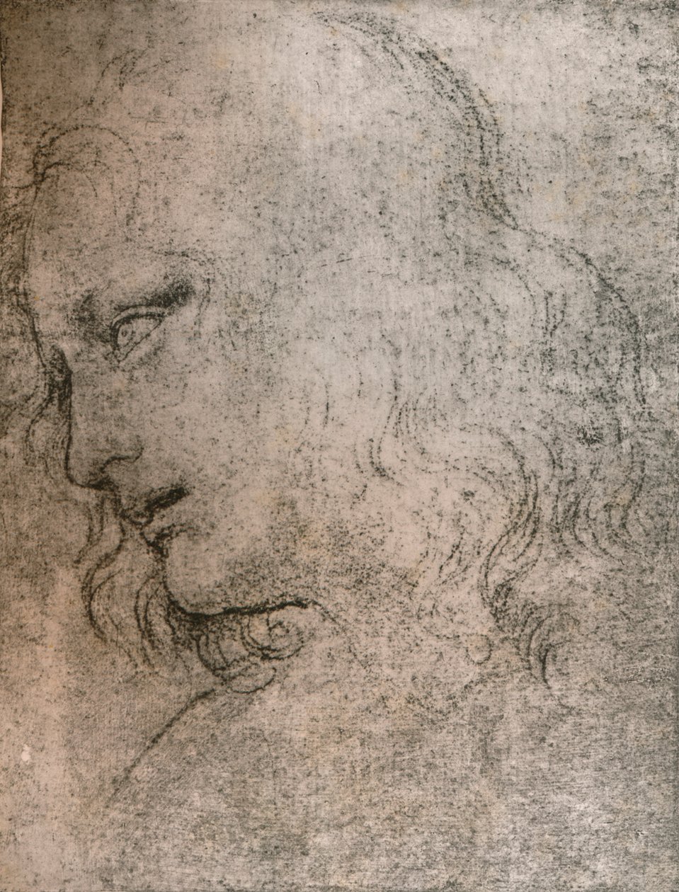 Tanulmány Szent Fülöp fejének az "Utolsó vacsora" c. 1494-c1499 1883-ban. alkotó: Leonardo da Vinci