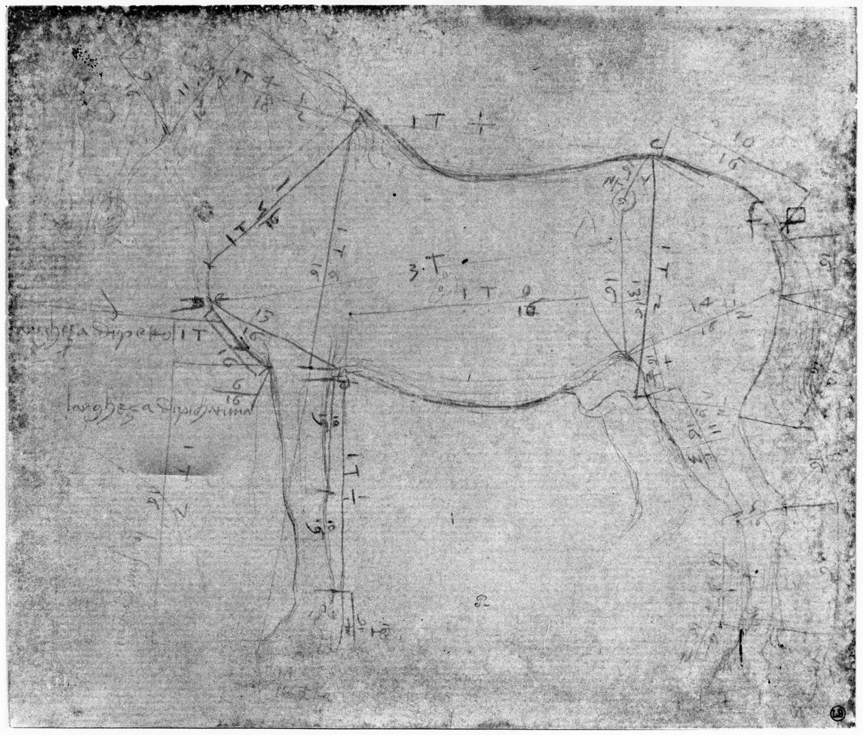Lótanulmány (fémpont papíron) alkotó: Leonardo da Vinci