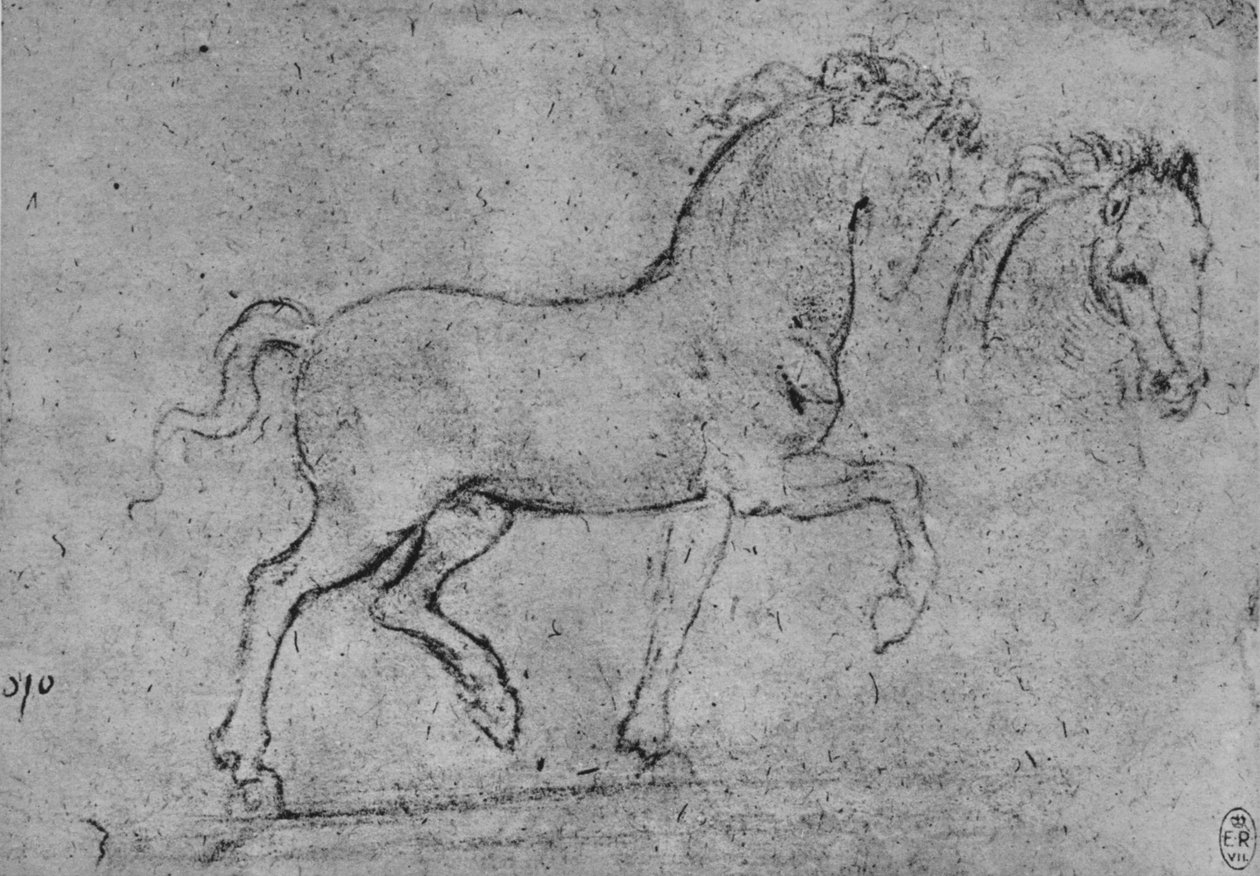 Tanulmány egy lóról és egy lófejről, c1480 1945 alkotó: Leonardo da Vinci