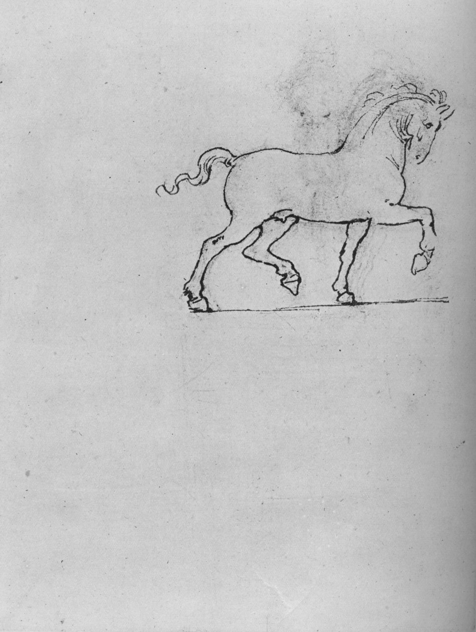 Tanulmány egy lóról, c1480, 1945 alkotó: Leonardo da Vinci