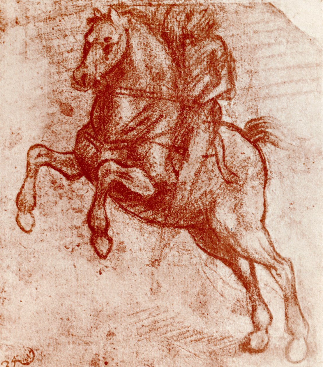 Leonardo De Vinci tanulmánya egy lovagról, 1913 alkotó: Leonardo da Vinci