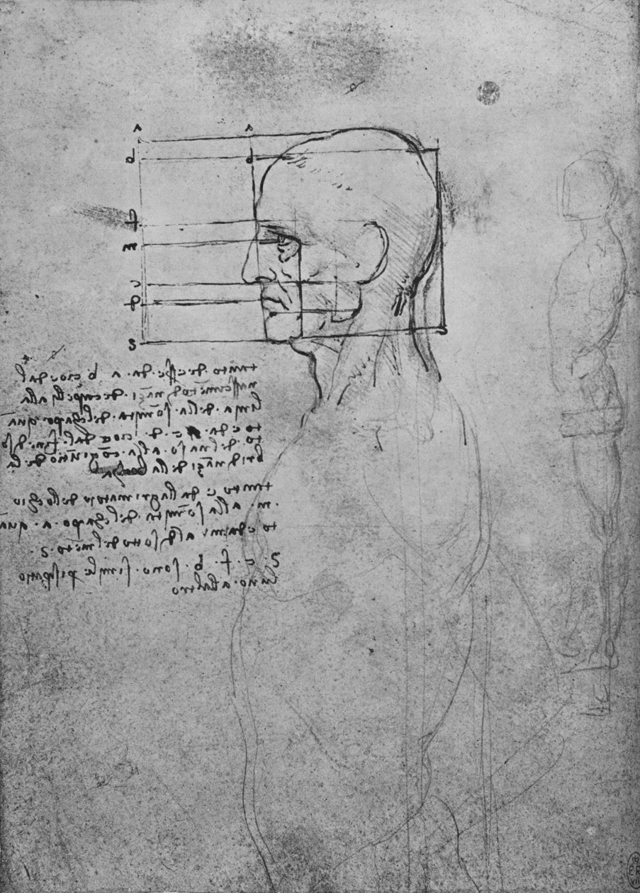 Tanulmány egy férfi meztelen törzséről, a fej arányos négyzetbeállítása, c1480 1945 alkotó: Leonardo da Vinci