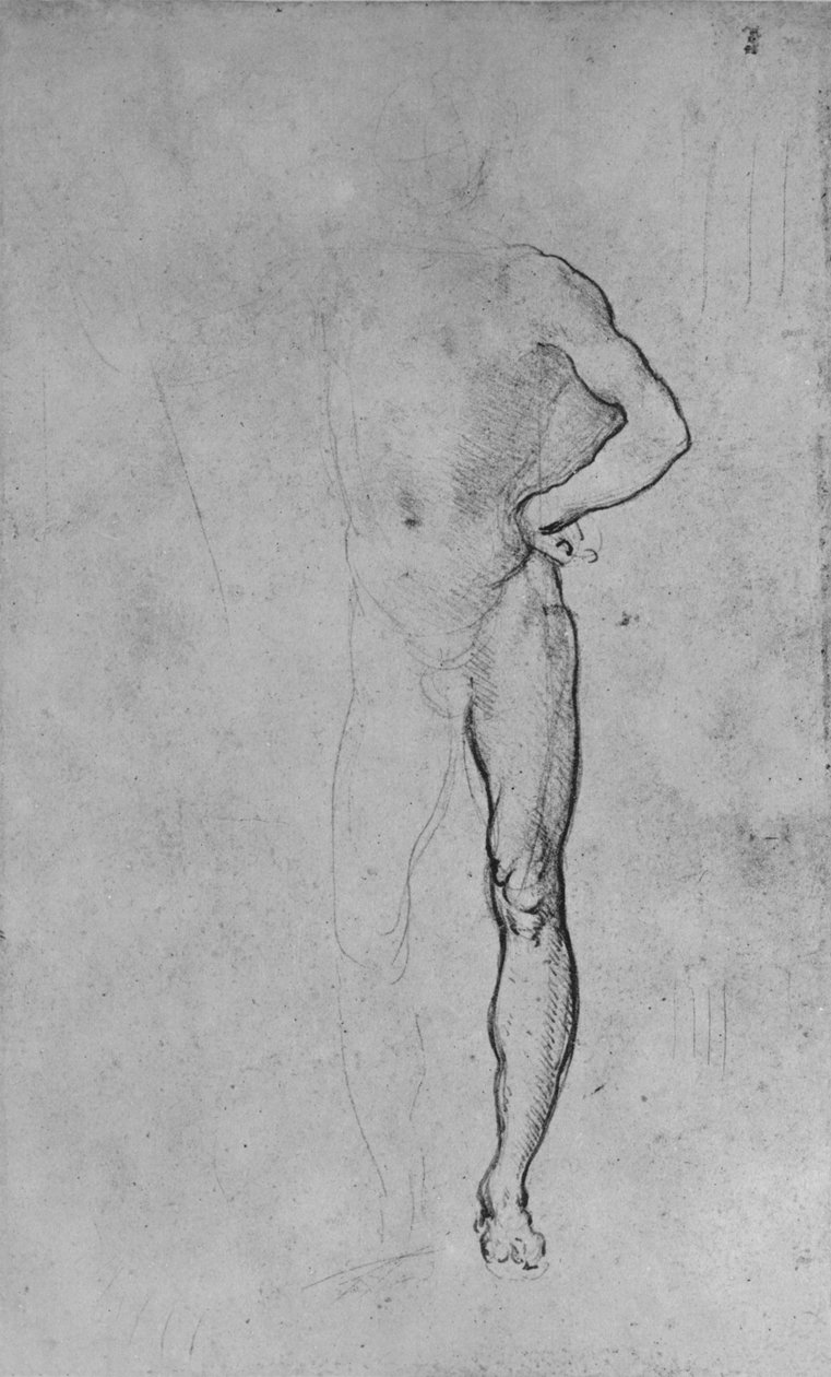 Tanulmány egy meztelen férfiról csípőre tett bal kézzel, c1480 1945 alkotó: Leonardo da Vinci