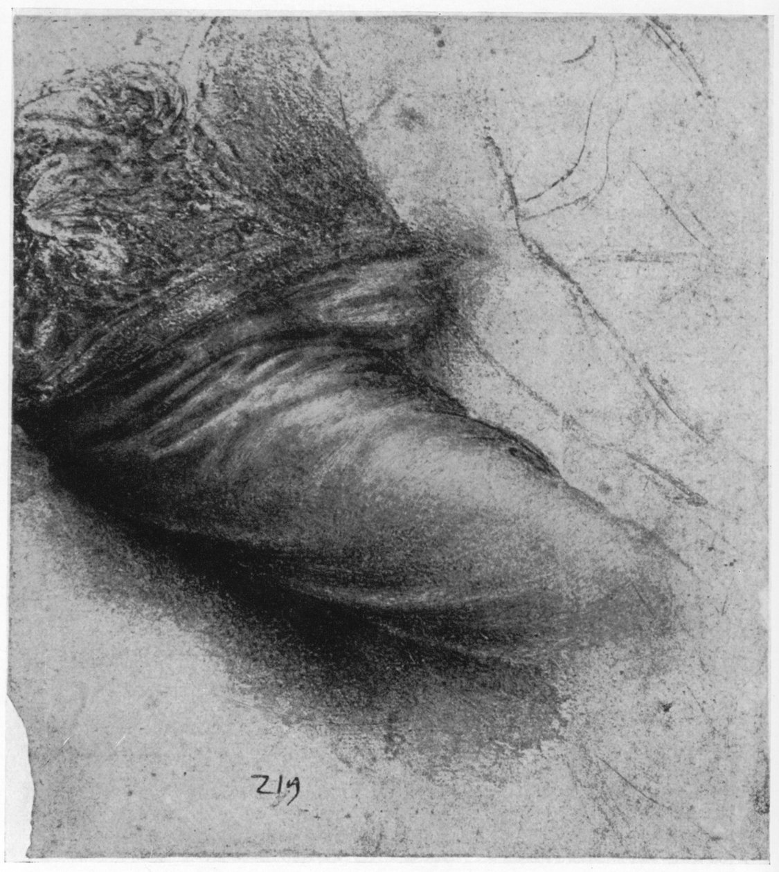 Tanulmány egy ruhadarabról Szent Anna számára, 1503-1517, 1954 alkotó: Leonardo da Vinci