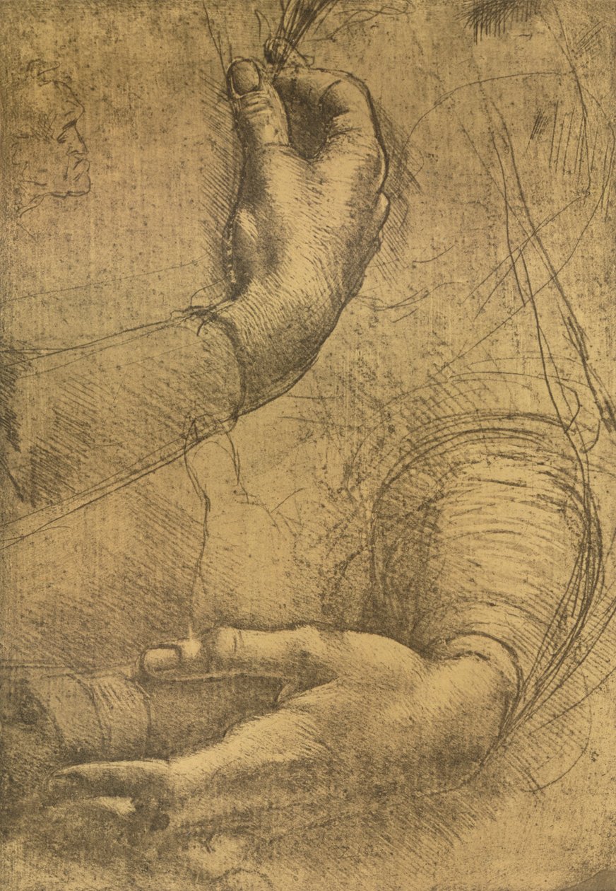 Női kezek tanulmányozása, c1472-c1519 1883 alkotó: Leonardo da Vinci