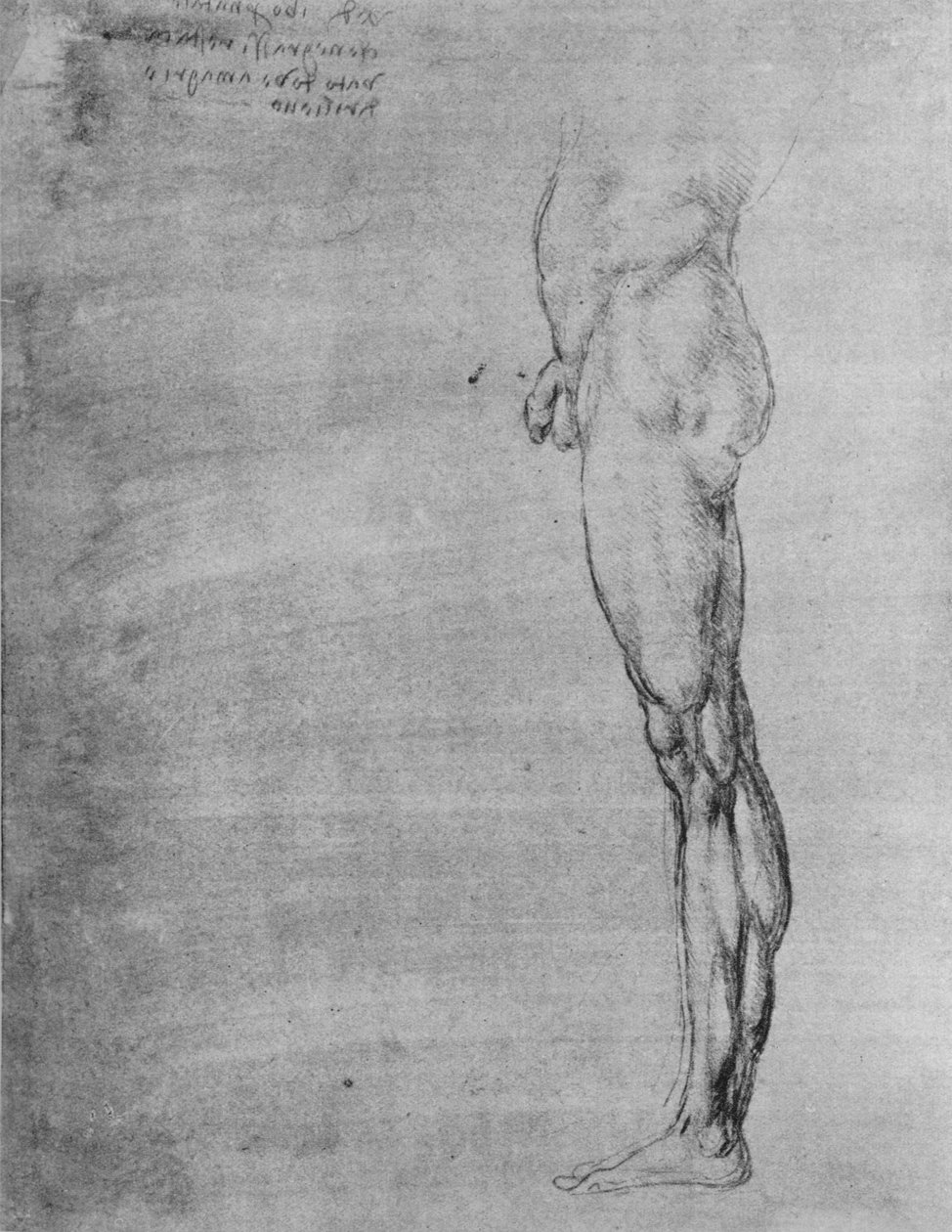 Tanulmány az ember testéről és lábáról, c1480, 1945 alkotó: Leonardo da Vinci