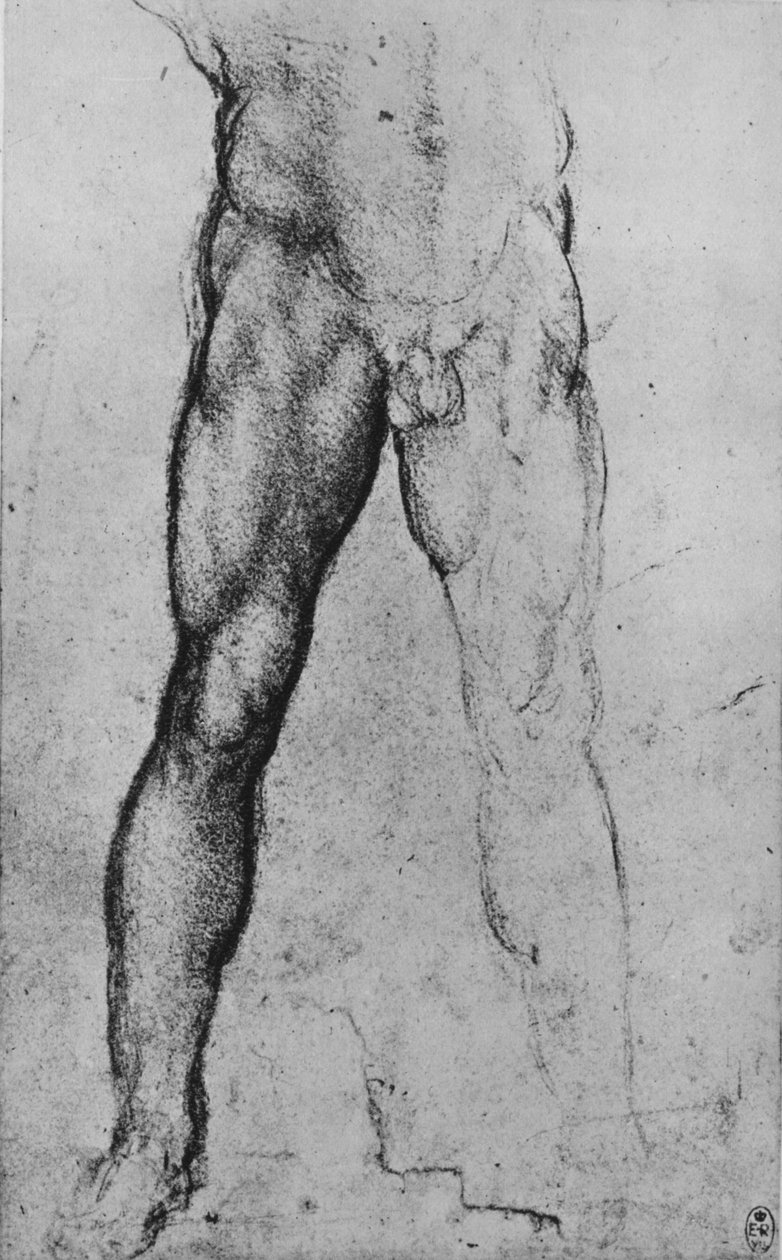Tanulmány egy meztelen férfi alsó feléről, aki szembe néz, c1480 1945 alkotó: Leonardo da Vinci