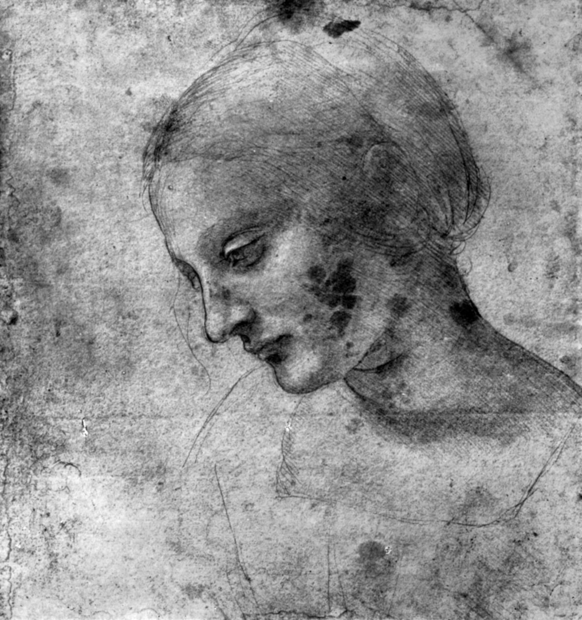 Tanulmány a Madonna fejéről, 15. század 1930. alkotó: Leonardo da Vinci