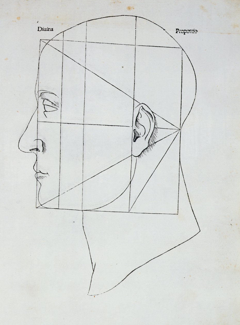 Az emberi fej, Luca Pacioli (1445-1517) „Divina Proportione” című művének illusztrációja, 1509 alkotó: Leonardo da Vinci