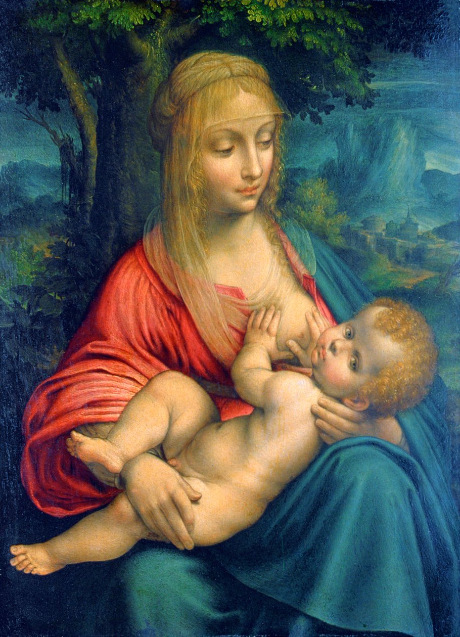 A Szűz és a Gyermek, c1511 alkotó: Leonardo da Vinci