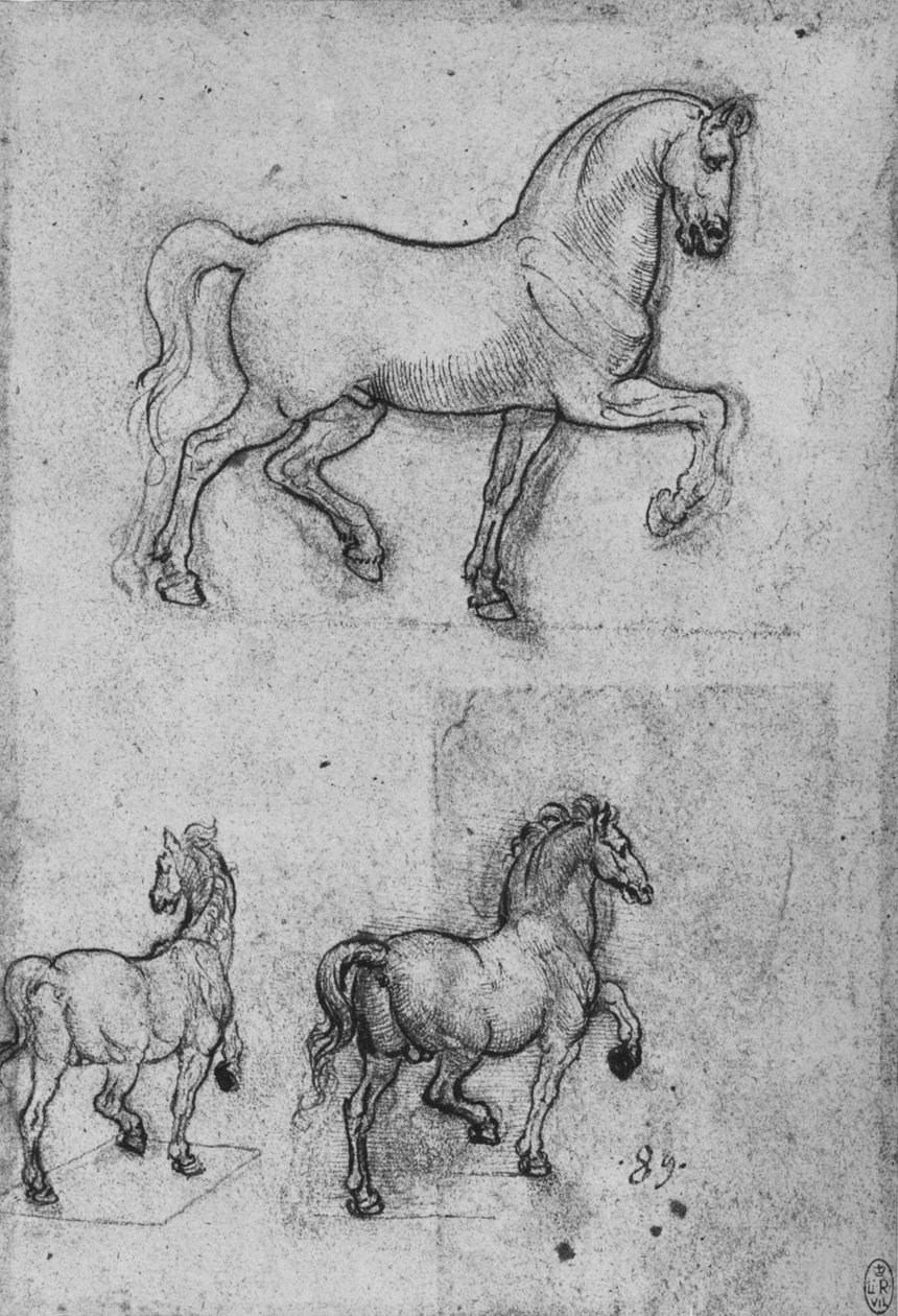 Három tanulmány a lovakról, c1480, 1945 alkotó: Leonardo da Vinci
