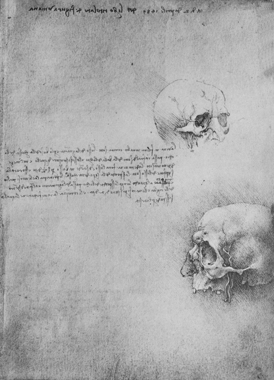Két rajz a fej csontos szerkezetéről, c1480 1945 alkotó: Leonardo da Vinci