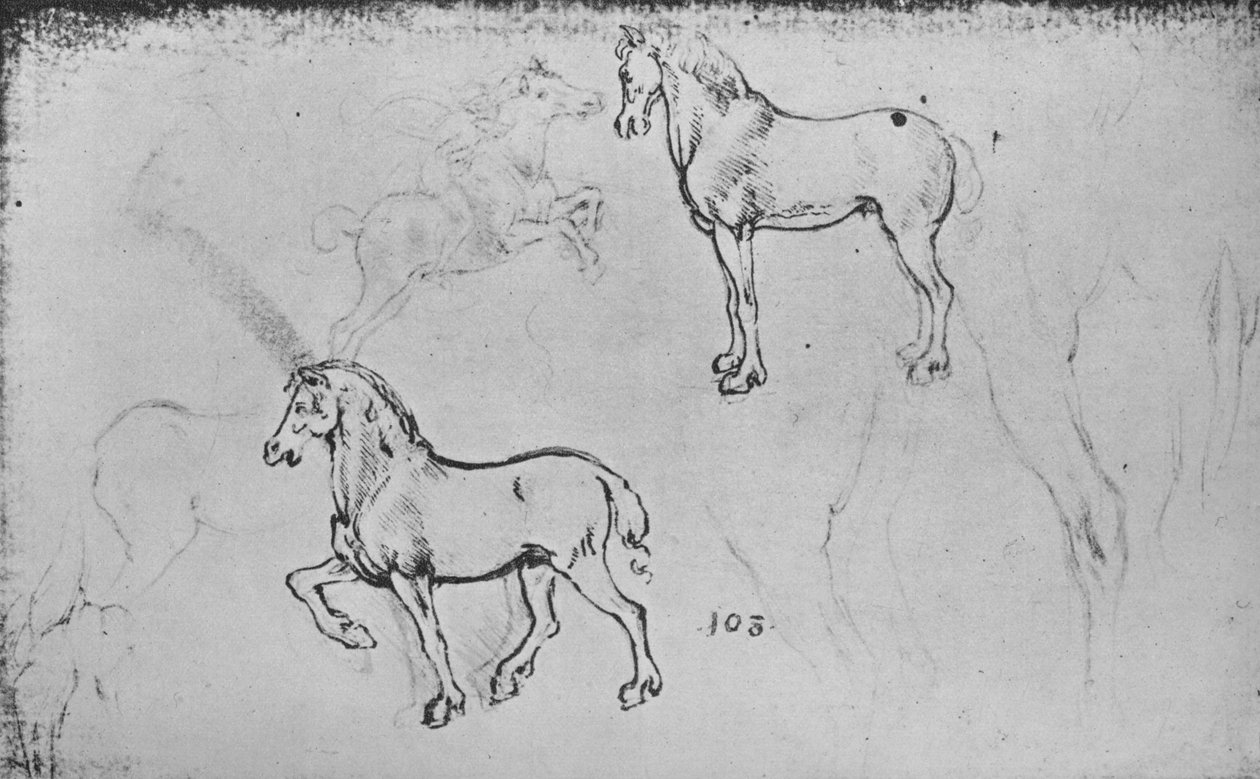 Két tanulmány a lovakról, az egyik egy vágtató lovasról és a többi a ló lábáról, c1480 1945 alkotó: Leonardo da Vinci