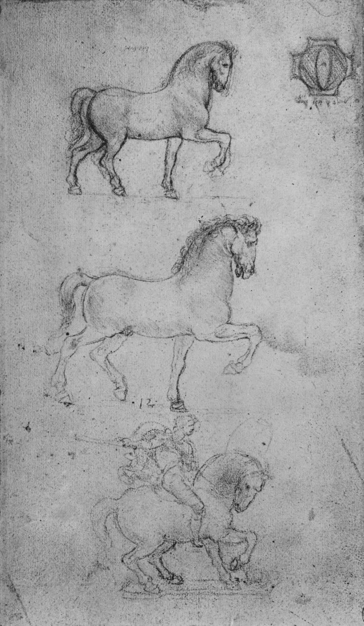 Két tanulmány egy lóról, egy pedig egy lóról és egy lovasról, c1480 1945 alkotó: Leonardo da Vinci