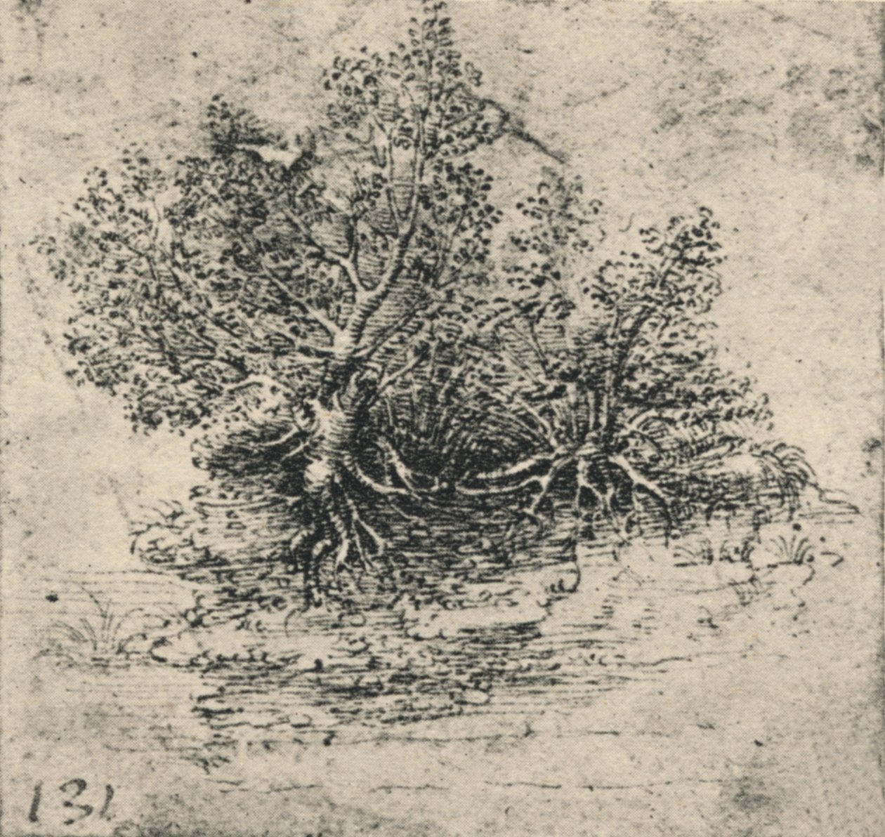 Két fa a patak partján, c1480 1945 alkotó: Leonardo da Vinci