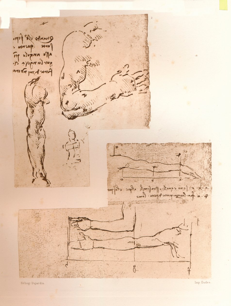 Két rajz, amely az emberi alak arányainak elméletét illusztrálja, c1472-c1519 1883 alkotó: Leonardo da Vinci
