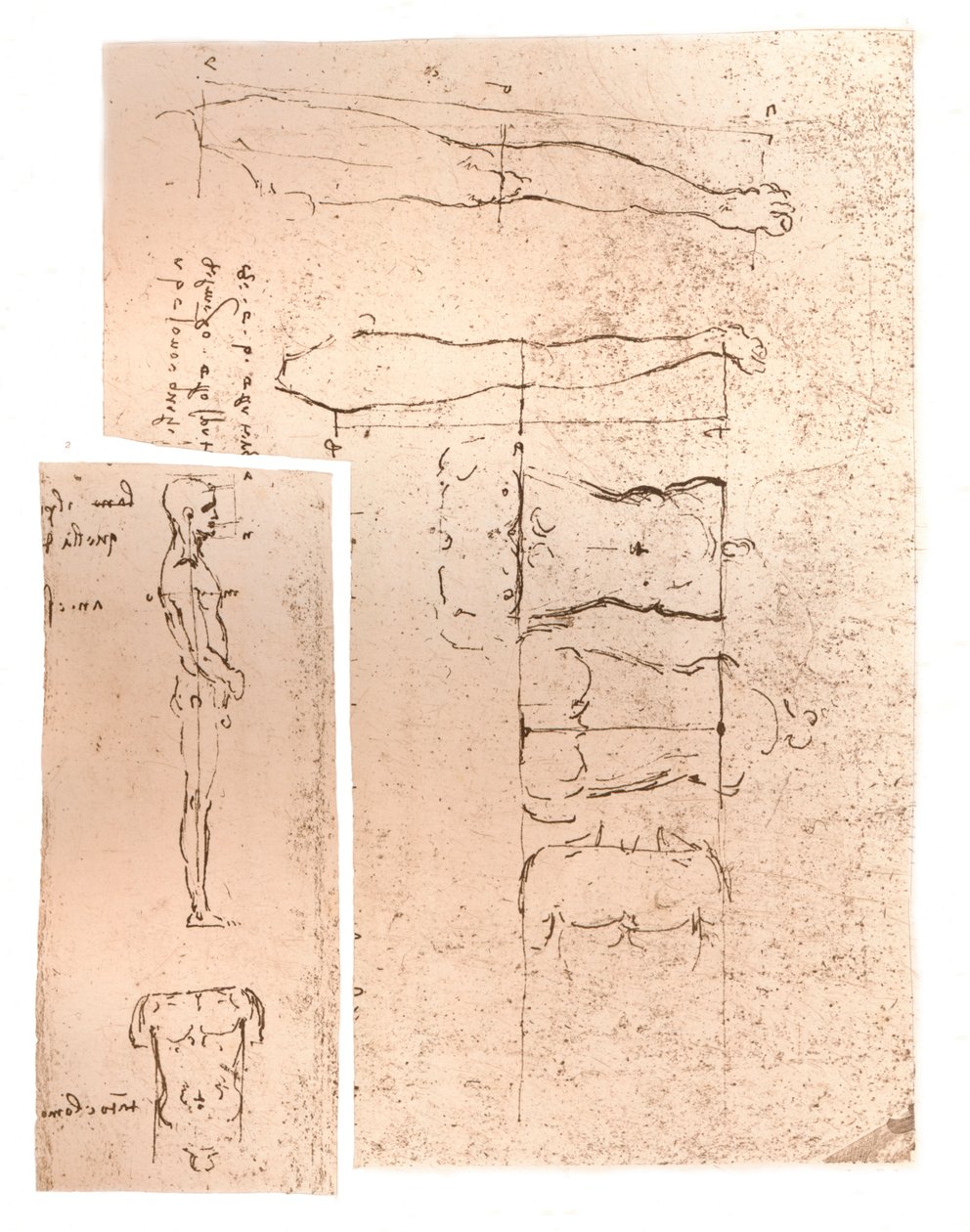 Két rajz, amely az emberi alak arányainak elméletét illusztrálja, c1472-c1519 1883 alkotó: Leonardo da Vinci