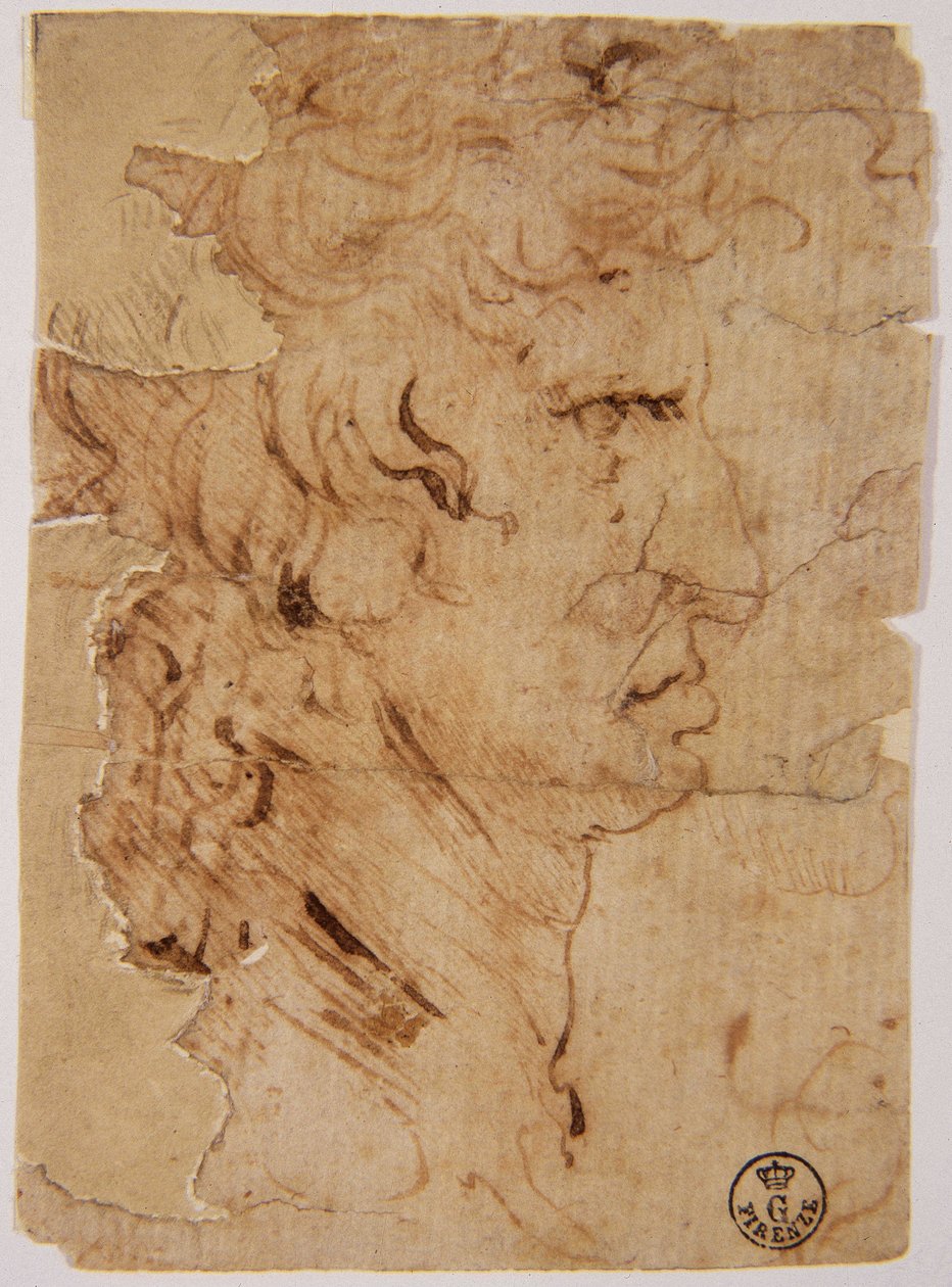 Ismeretlen kép alkotó: Leonardo da Vinci