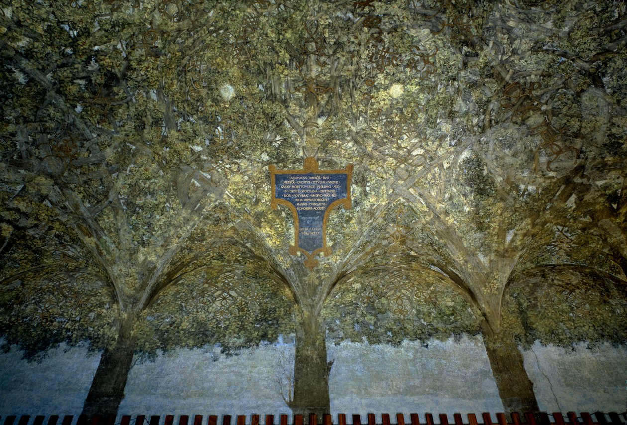 Zöldségfonás. Tempera a falon, Leonardo da Vinci (1452-1519) (Leonard de Vinci) 1498 Sala delle Asse, Castello Sforzesco (Sforza hercegek kastélya) Milánó alkotó: Leonardo da Vinci