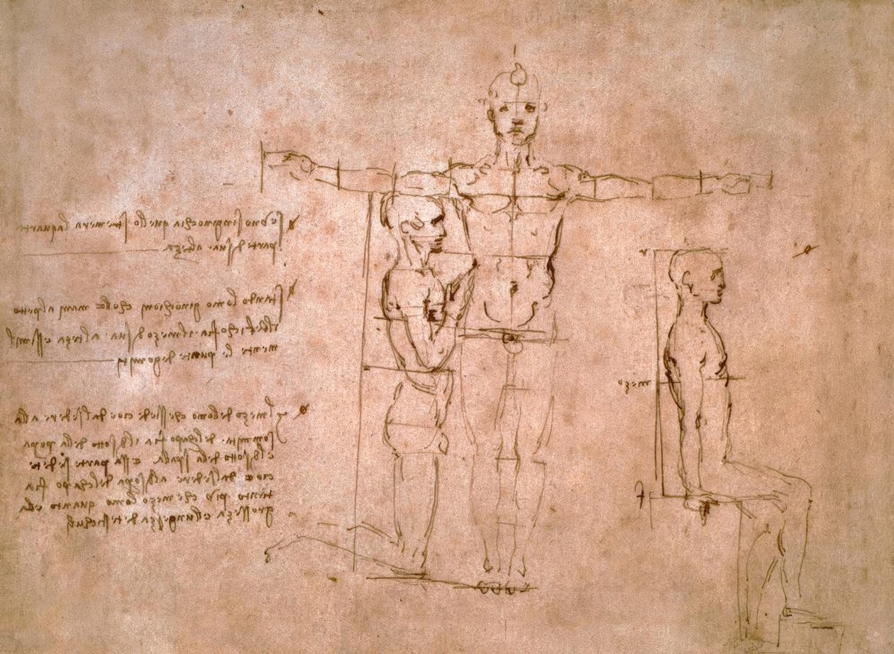 Összehasonlító arányvizsgálatok... alkotó: Leonardo da Vinci