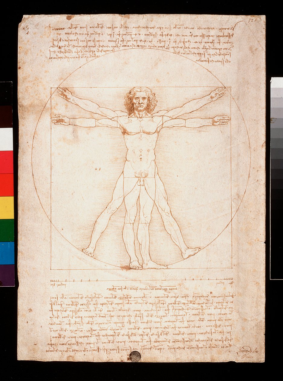 Vitruviuszi ember alkotó: Leonardo da Vinci