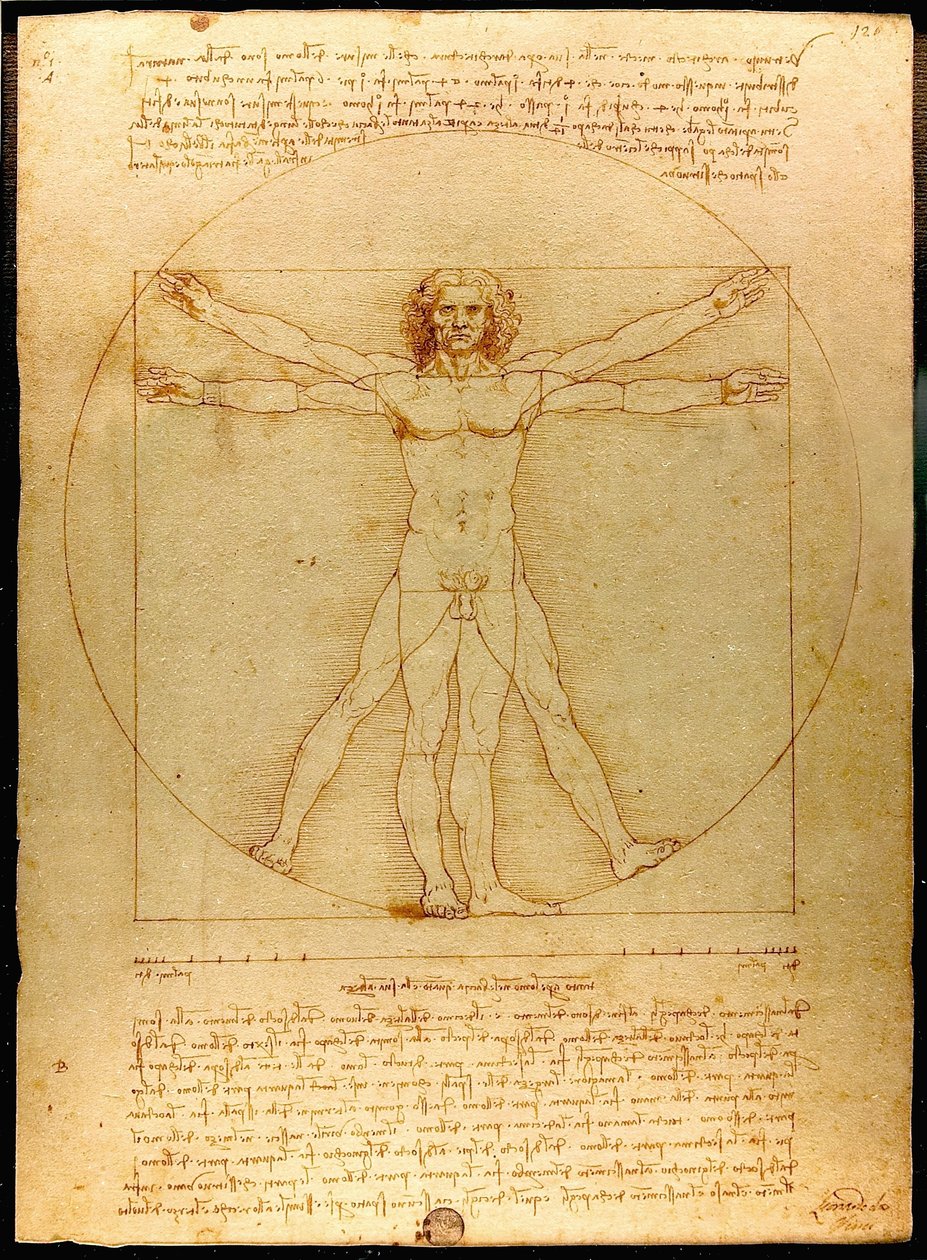 Vitruviuszi ember alkotó: Leonardo da Vinci