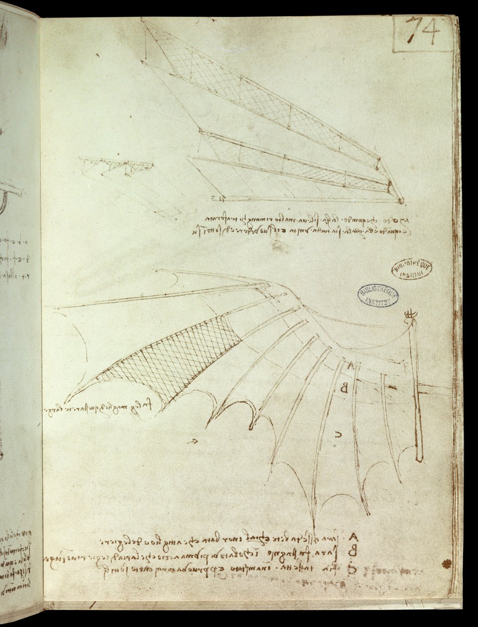 Szárny. Repülőgép rajz. Leonard De Vinci kézirata (Leonardo da Vinci alkotó: Leonardo da Vinci