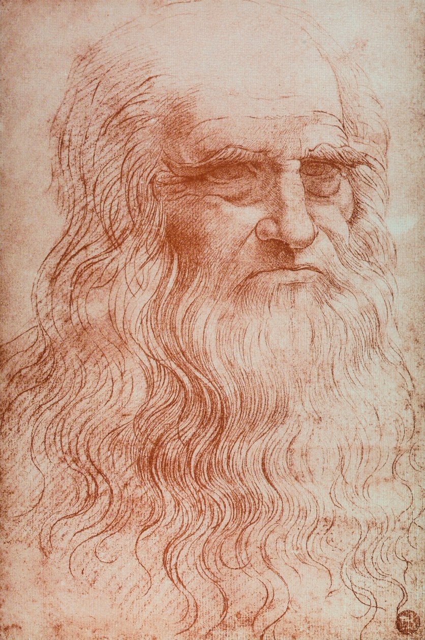 Leonardo da Vinci portréja, Leonardo da Vinci önarcképének másolata, szangvinikus, Accademia Gallery, Velence alkotó: Leonardo da after Vinci