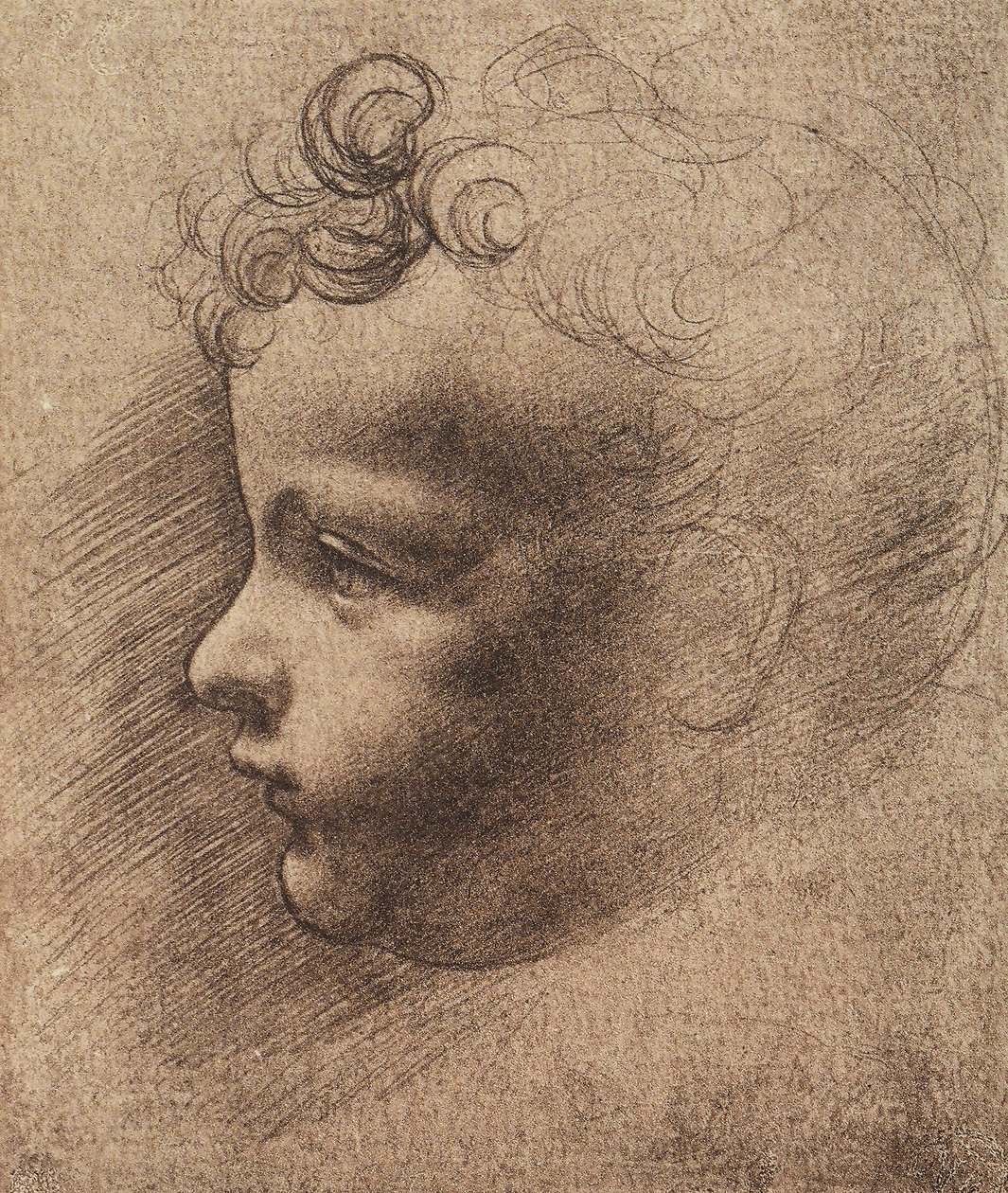 Egy kisfiú feje; Leonardo da Vinci rajza. Louvre, Párizs alkotó: Leonardo da school of Vinci