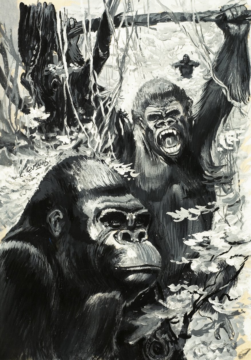 Gorillák alkotó: Leslie Field Evans